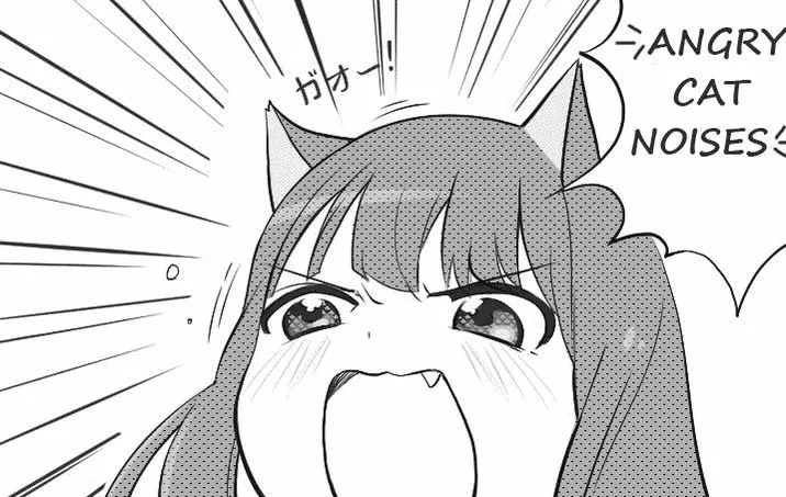 angy cat
